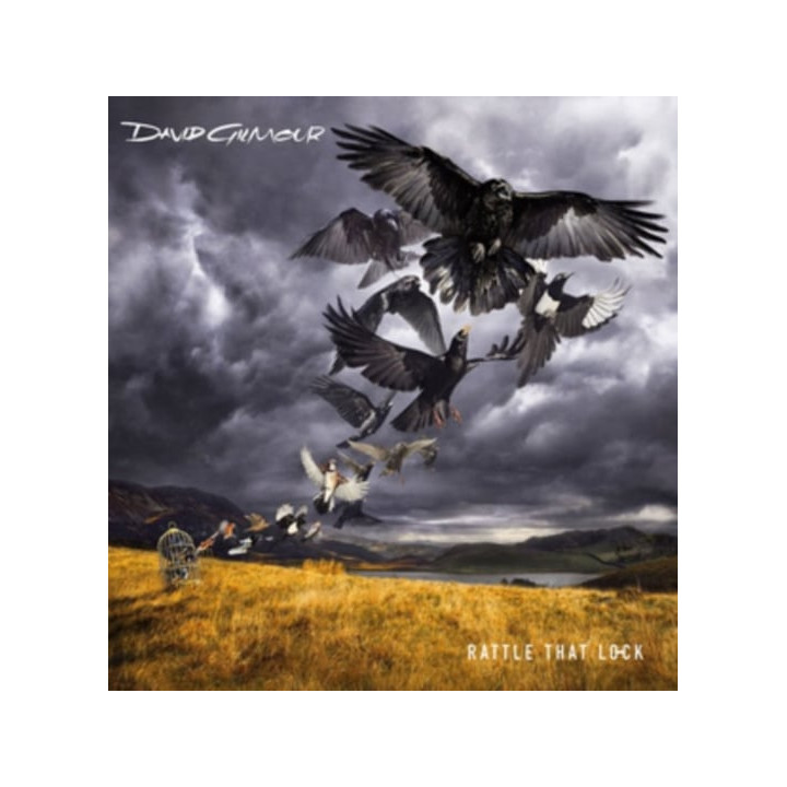 Gilmour David - Rattle That Lock (LP)