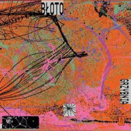 Błoto - Grzybnia (LP)