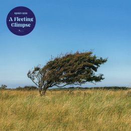 Bjørn Riis - A Fleeting Glimpse (CD)