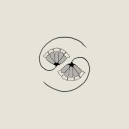 Godspeed You! Black Emperor - G_D'S Pee At State's End! (CD)
