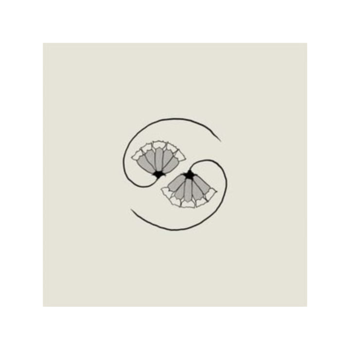 Godspeed You! Black Emperor - G_D'S Pee At State's End! (CD)