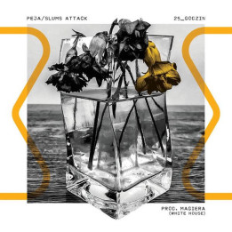 Peja/Slums Attack - 25_godzin (prod.Magiera) (CD)