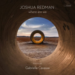 Redman Joshua - Where Are We (2LP)