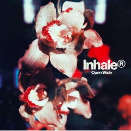 Inhaler - Open Wide (CD  )