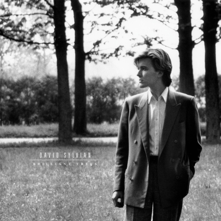 Sylvian David - Brilliant Trees (LP Olive)