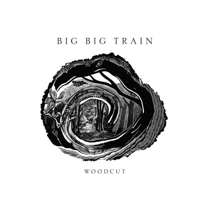 Big Big Train - Woodcut (2LP)