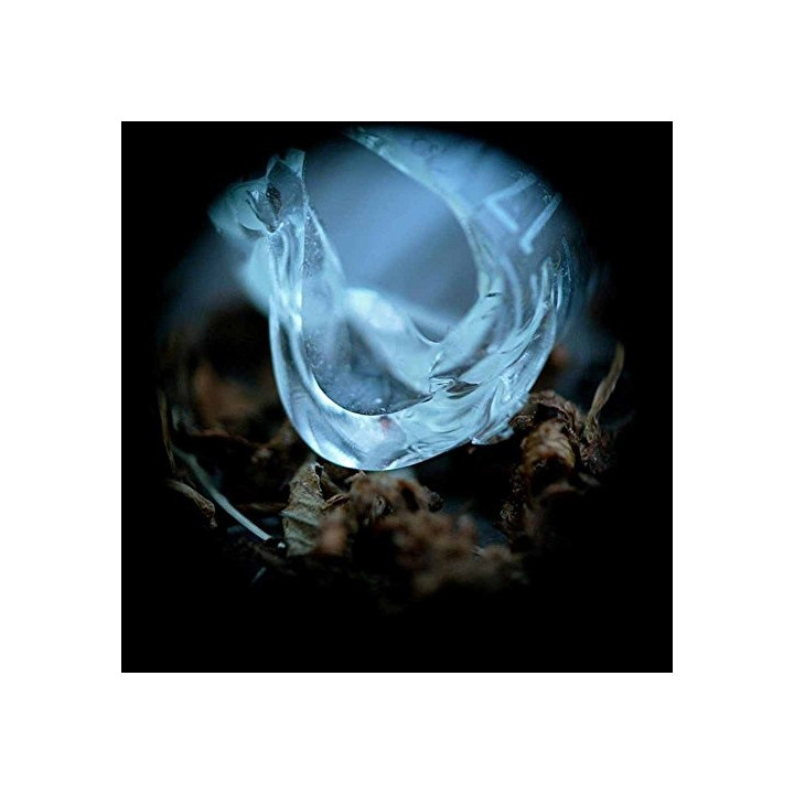 Ossicles - Mantelpiece (CD)