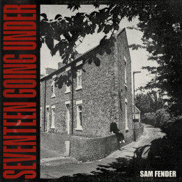 Fender Sam - Seventeen Going Under (LP)