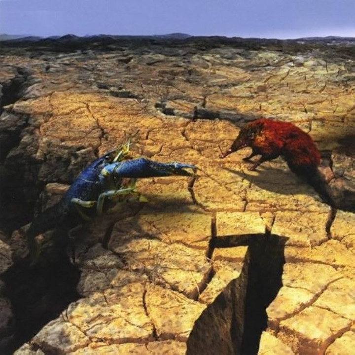 Phideaux - Number Seven (CD)