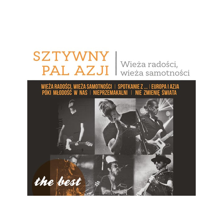 Sztywny Pal Azji - The Best: Wieża Radości, Wieża Samotności (LP)