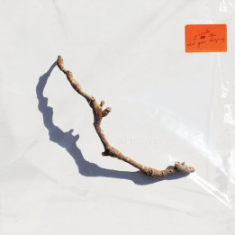Harvey PJ - I Inside The Old Year Dying (CD)