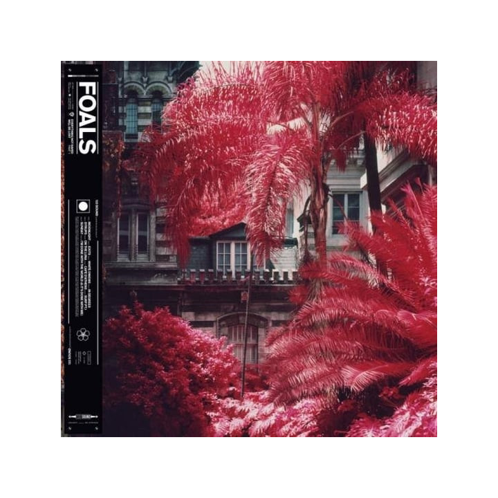 Foals - Everything Not Saved Will Be Lost Part 1 (LP)