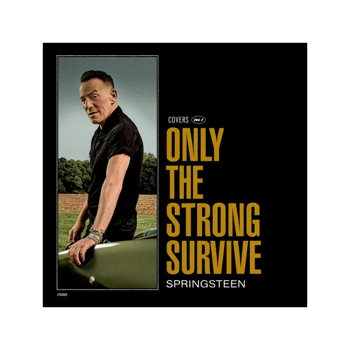 Springsteen Bruce - Only The Strong Survive (CD)