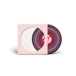 Take That - Everything Changes (Picture Vinyl) (LP)