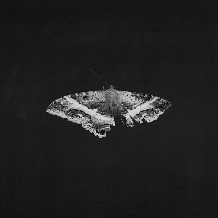 Lamar Kendrick - To Pimp A Buttefrly (10Th Anniv.) (2LP)