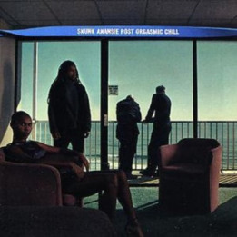 Skunk Anansie - Post Orgasmic Chill (CD)