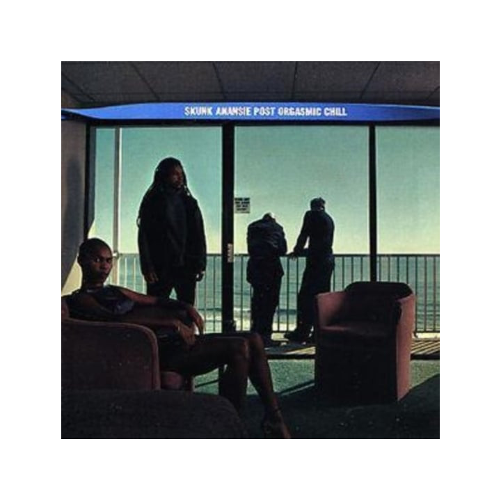 Skunk Anansie - Post Orgasmic Chill (CD)