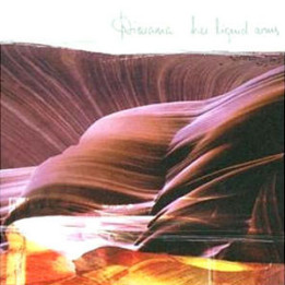 Diorama - Her Liquid Arms (CD)