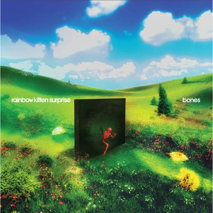 Rainbow Kitten Surprise - Bones (LP)