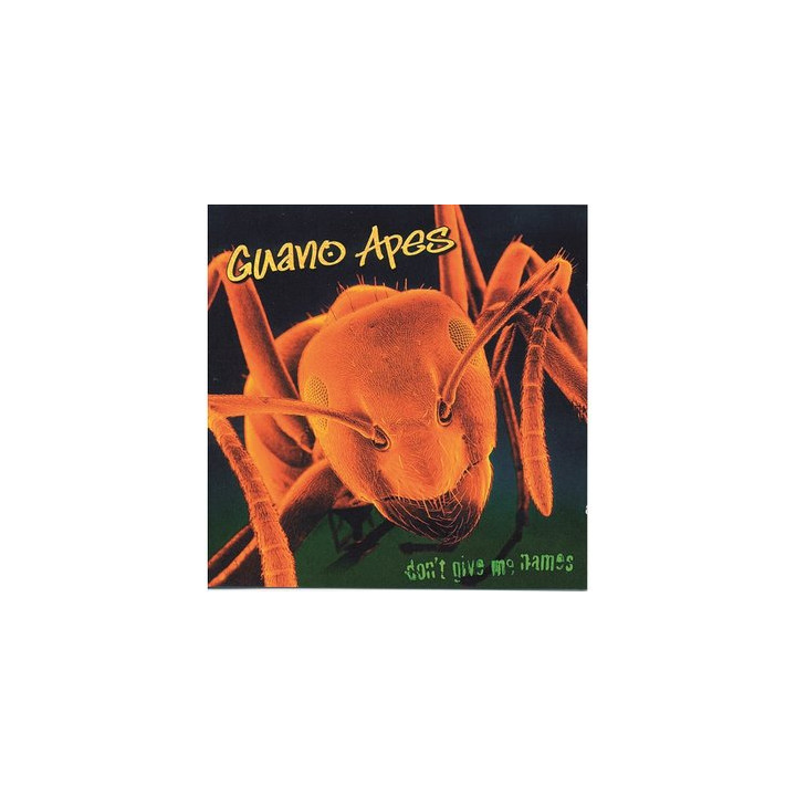 Guano Apes - Don't Give Me Names (LP)