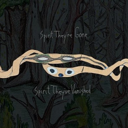 Animal Collective - Spirit They're Gone, Spirit They've Vanished (Remastered) (2LP)