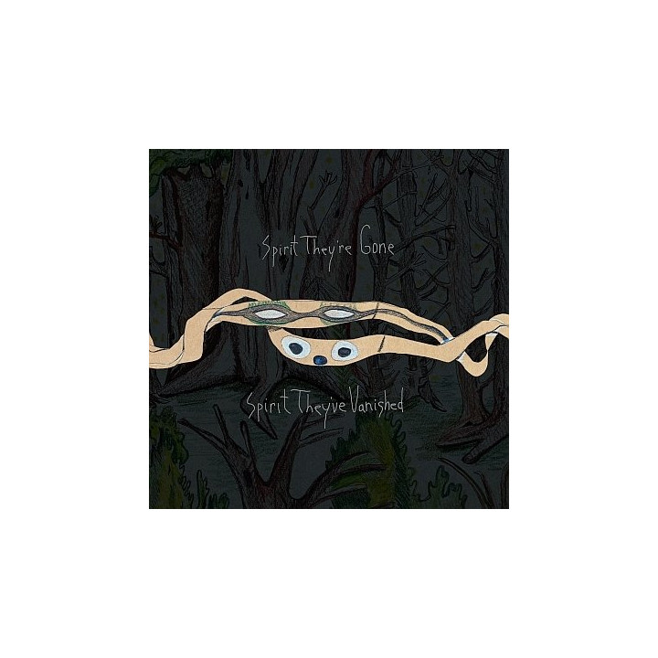 Animal Collective - Spirit They're Gone, Spirit They've Vanished (Remastered) (2LP)