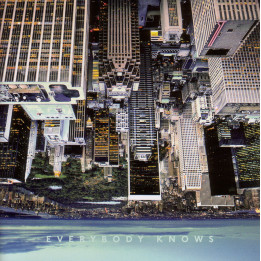 Young Gods The - Everybody Knows (CD)