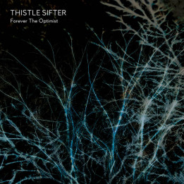 Thistle Sifter - Forever The Optimist (LP)