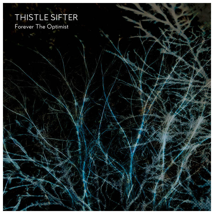 Thistle Sifter - Forever The Optimist (LP)