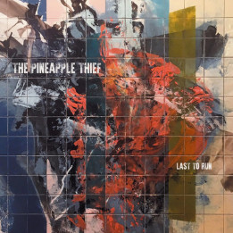 Pineapple Thief The - Last To Run (12" Green)