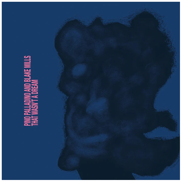 Palladino Pino/Mills Blake - That Wasn't A Dream (CD)