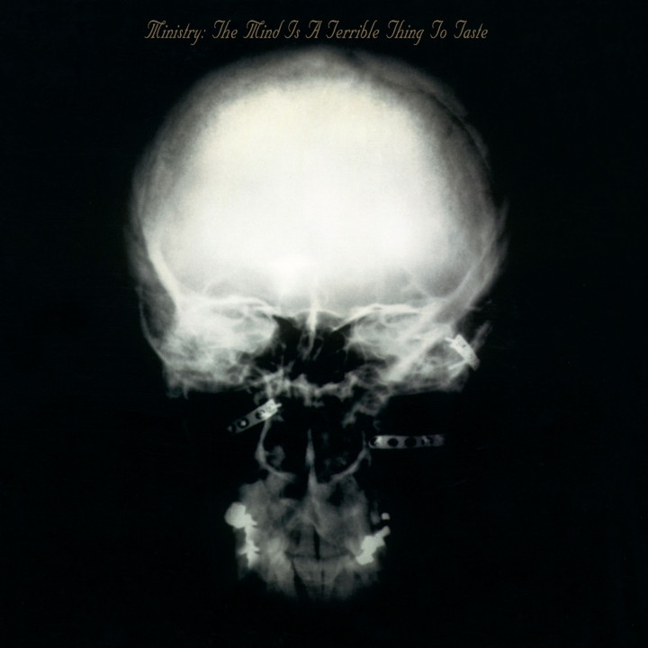 Ministry - The Mind Is A Terrible Thing To Taste (Rocktober 2025) (LP)