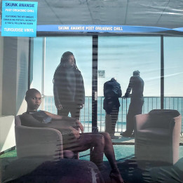 Skunk Anansie - Post Orgasmic Chill (LP Turquoise)