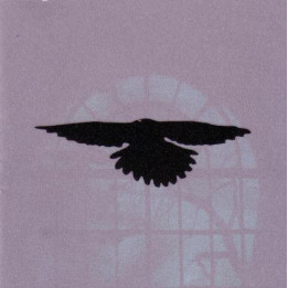 Kruk - It Will Not Come Back (CD+DVD)