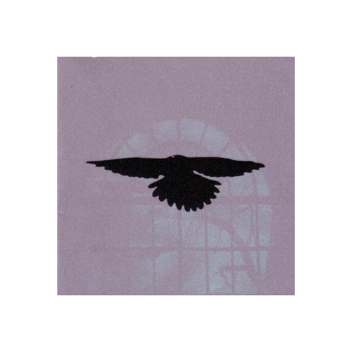 Kruk - It Will Not Come Back (CD+DVD)
