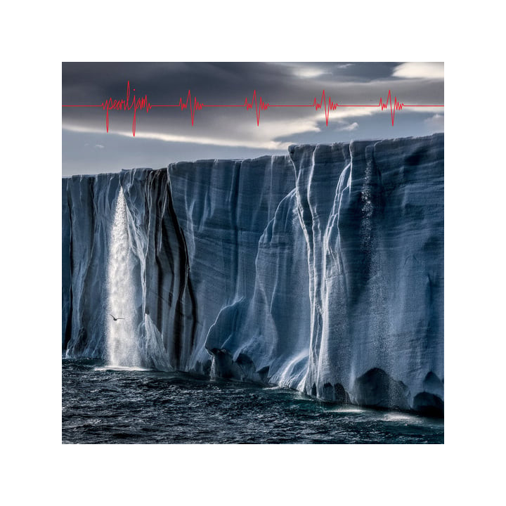 Pearl Jam - Gigaton (CD)