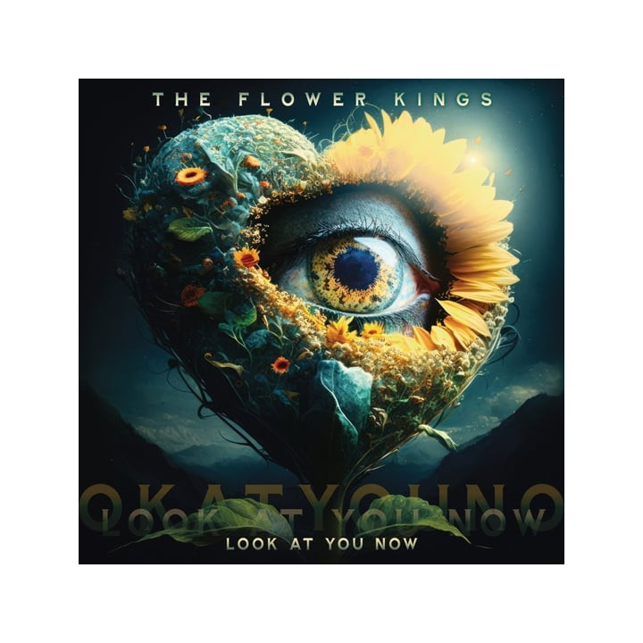 Flower Kings The - Look At You Now (2LP)