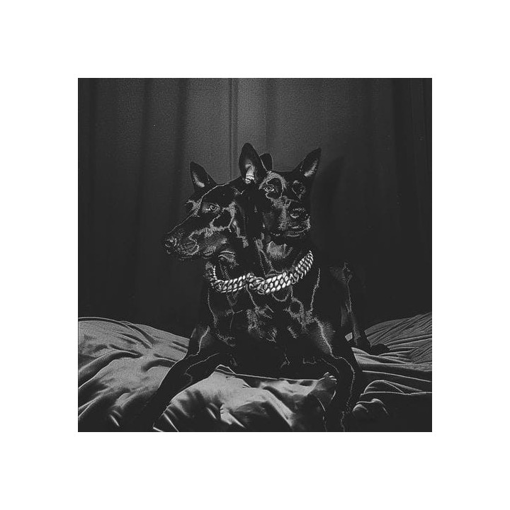Nto/Sofiane Pamart - Forever Friends (CD)