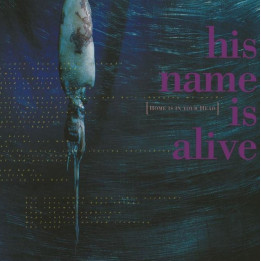 His Name Is Alive - Home Is In Your Head (2024 Remastered) (LP)