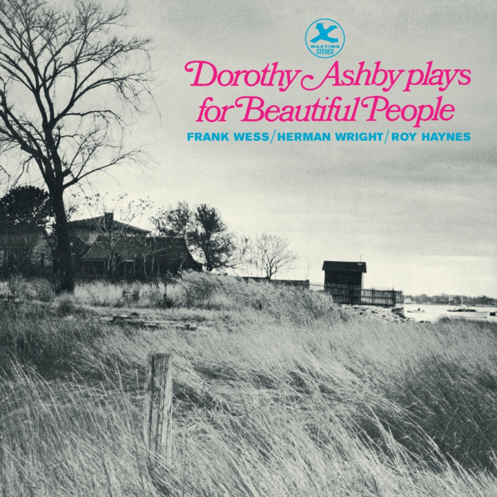 Ashby Dorothy - Plays For Beautiful People (LP)