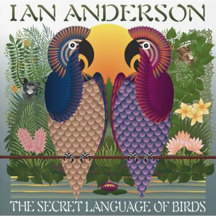 Anderson Ian - The Secret Language Of Birds (2LP)