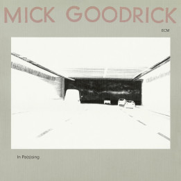 Goodrick Mick - In Pas(s)Ing (Luminessence) (LP)