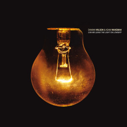 Damian Wilson & Adam Wakeman - Can We Leave The Light On Longer (LP)