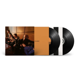 Giant Rooks - How Have You Been? (2LP)