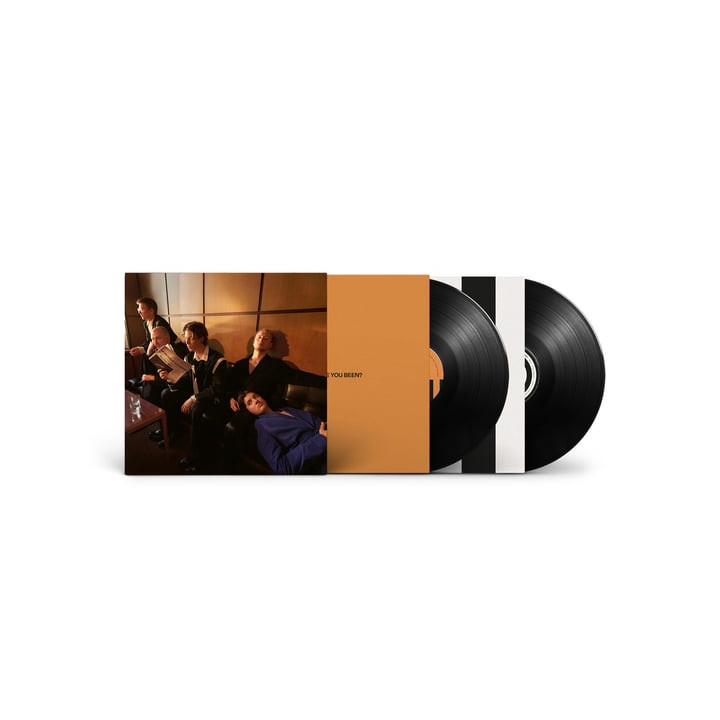 Giant Rooks - How Have You Been? (2LP)