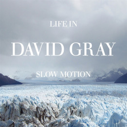 Gray David - Life In Slow Motion (20th Anniv.) (LP)