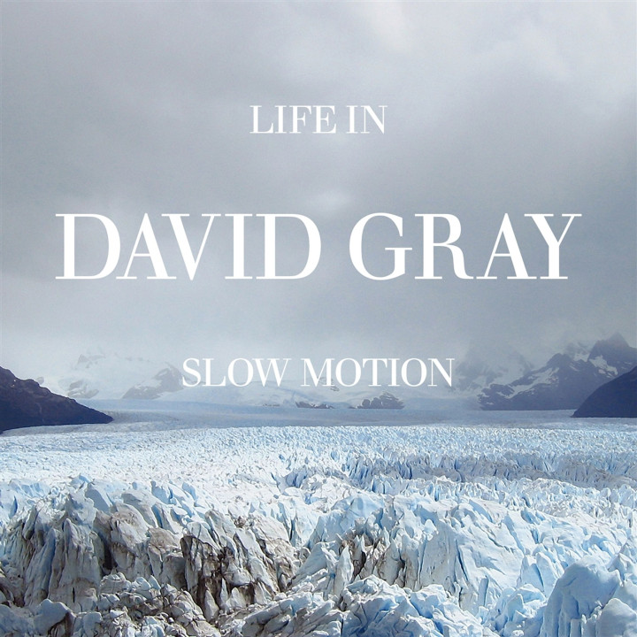 Gray David - Life In Slow Motion (20th Anniv.) (LP)
