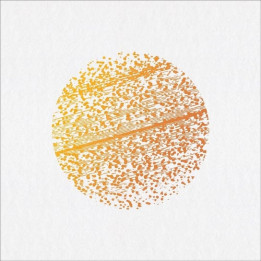 Gathering The - Beautiful Distortion (CD)