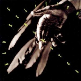Bad Religion - Generator (Remaster 2004) (CD)