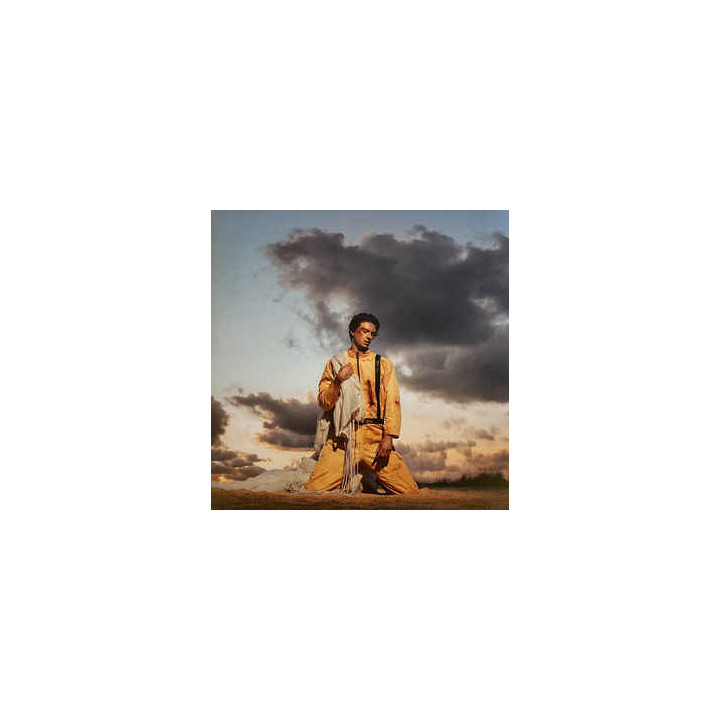 Petit Biscuit - Parachute (LP)